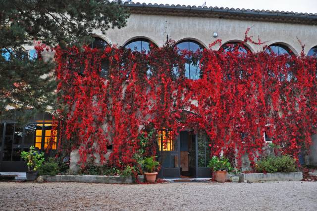 La faade en automne