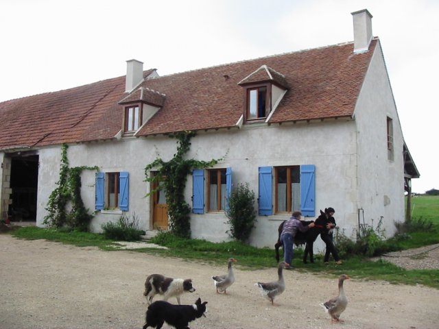 Gite de la chaume au chat