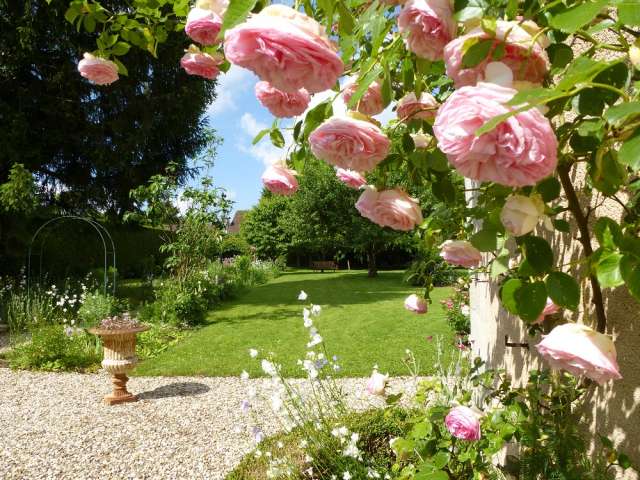Photo Bed and breakfast Emagny (besanon) Rosabonheur
