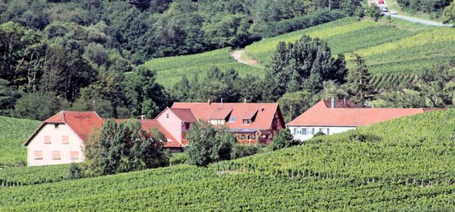 Photo Casas Rurais Nothalten Au cep de vigne