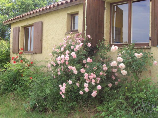 Photo Camping Loupiac Chez francis