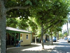 Les palmiers locations