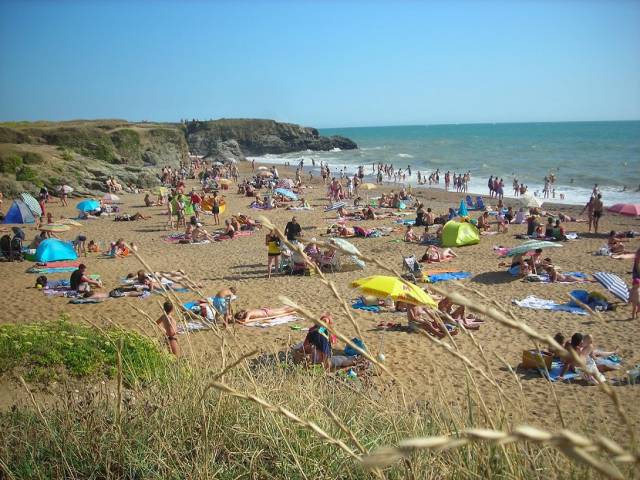 Camping la padrelle**