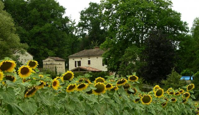 Photo Bed and breakfast Denat Le jardin des etoiles