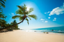 Bed and breakfast Em uma ilha 